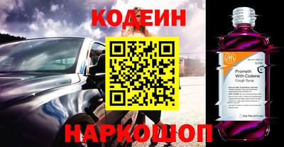индика Гусь-Хрустальный